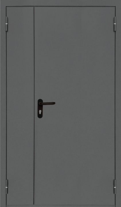 ПП Дверь EI60 RAL 7011 Тёмно-серая ( двупольная )